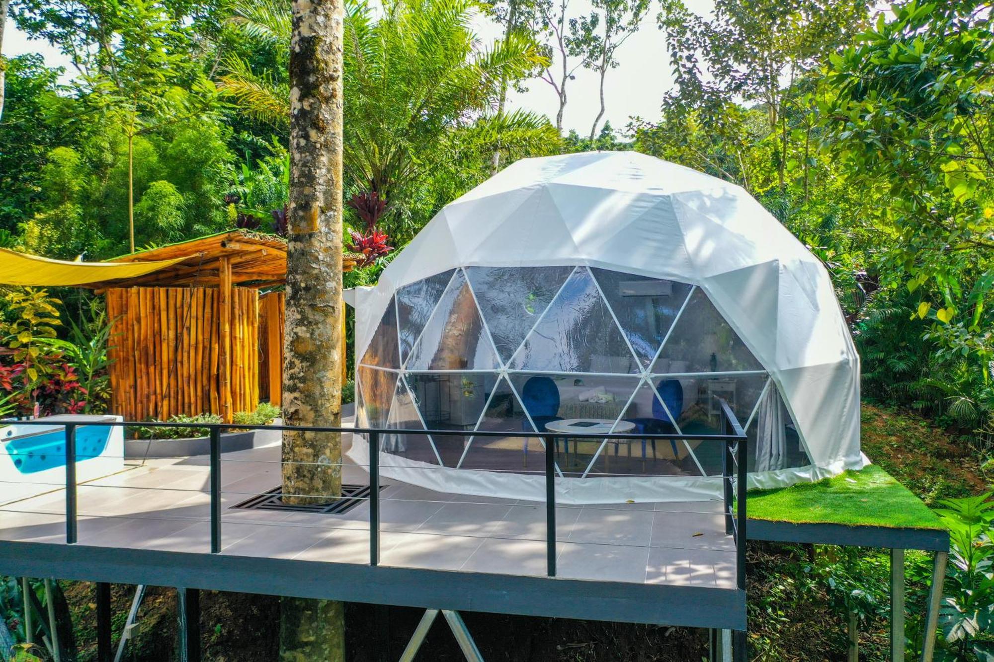 Quesada  Palo Alto Glamping Hotel מראה חיצוני תמונה